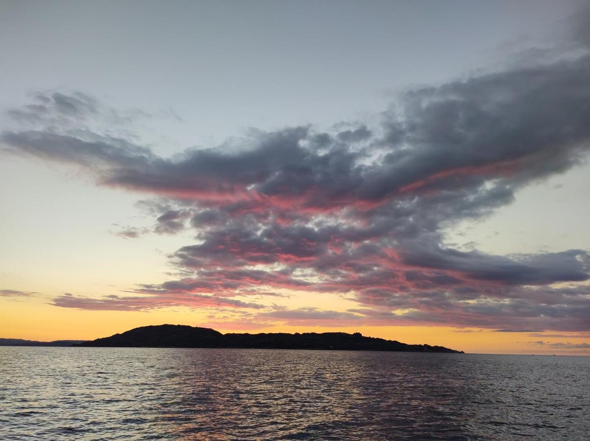 Villa Carlotta La Maddalena لا ماداّلينا المظهر الخارجي الصورة