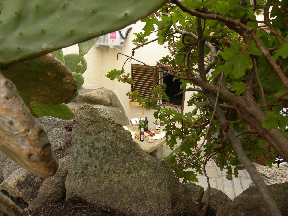 Villa Carlotta La Maddalena لا ماداّلينا المظهر الخارجي الصورة