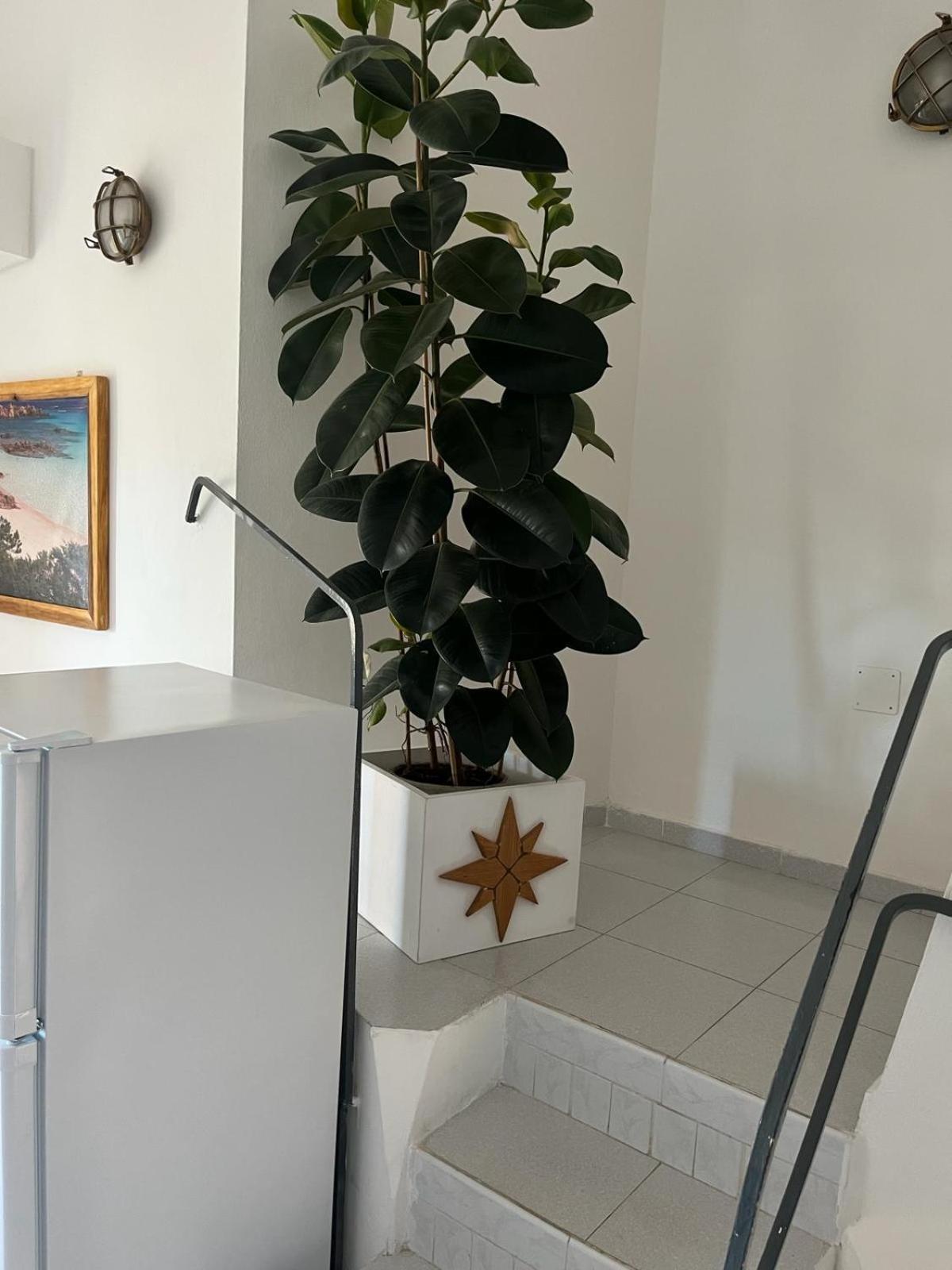 Villa Carlotta La Maddalena لا ماداّلينا المظهر الخارجي الصورة