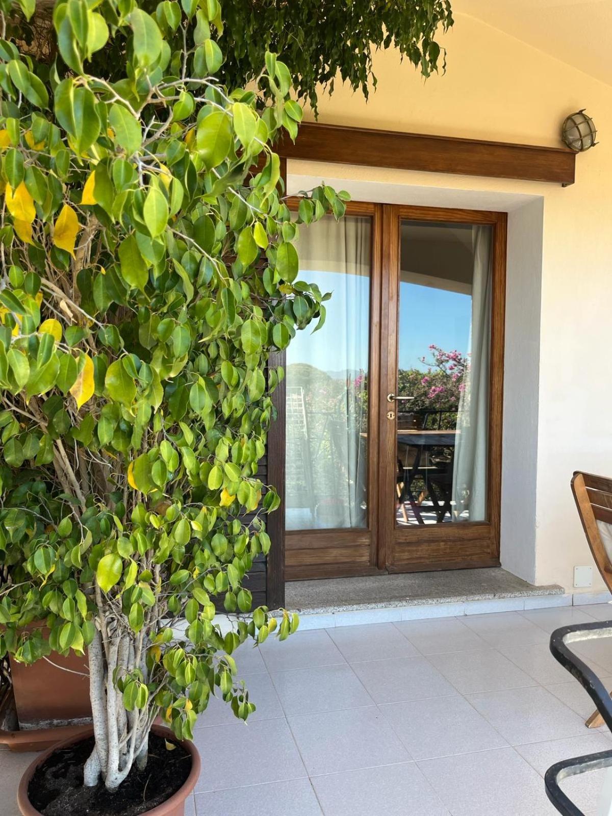 Villa Carlotta La Maddalena لا ماداّلينا المظهر الخارجي الصورة